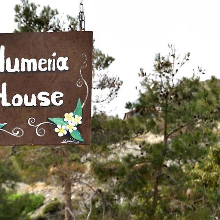 Plumeria House Archangelos  Exterior photo